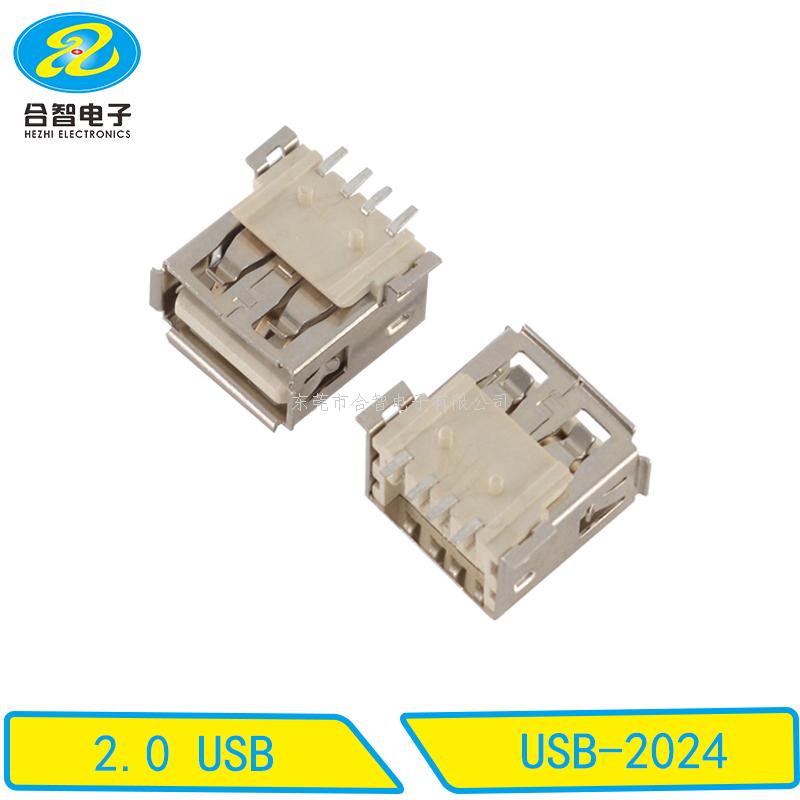 USB 2.0-USB-2024