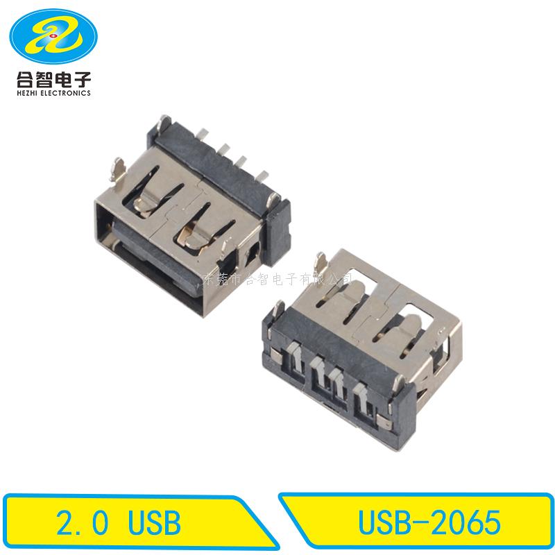 USB 2.0-USB-2065