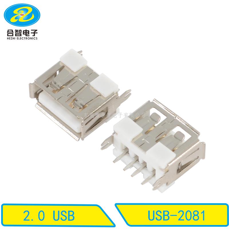 USB 2.0-USB-2081