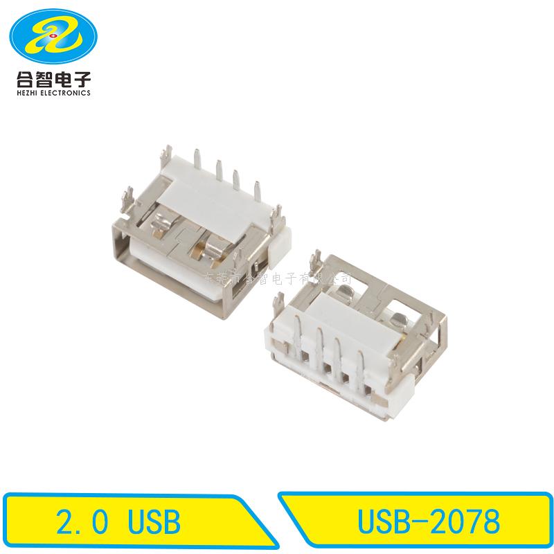 USB 2.0-USB-2078