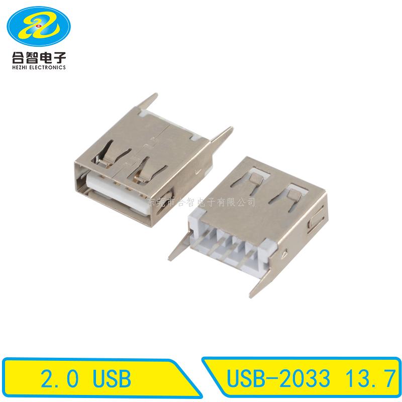 USB 2.0-USB-2033