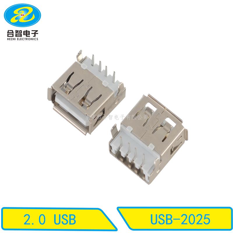 USB 2.0-USB-2025