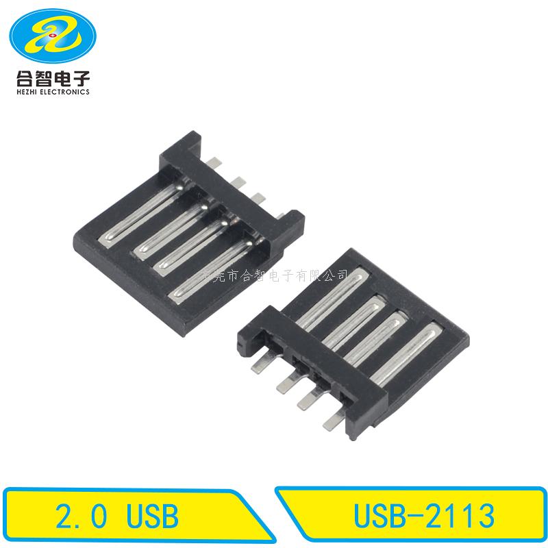 USB 2.0-USB-2113