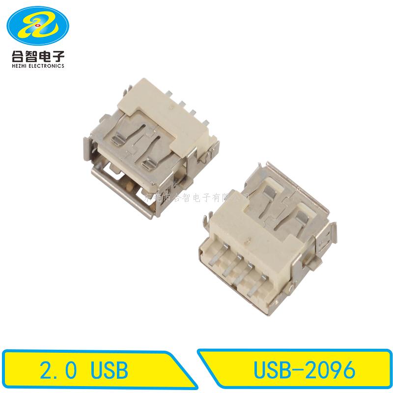USB 2.0-USB-2096