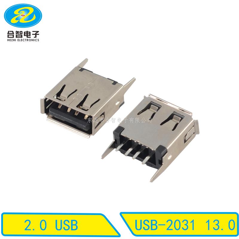 USB 2.0-USB-2031