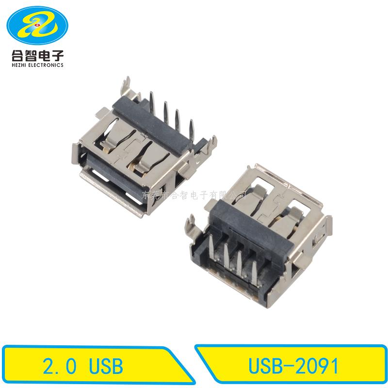 USB 2.0-USB-2091