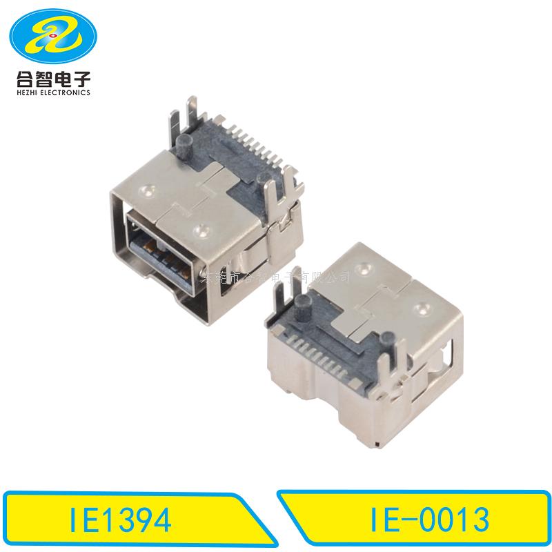 IEEE 1394-IE-0013