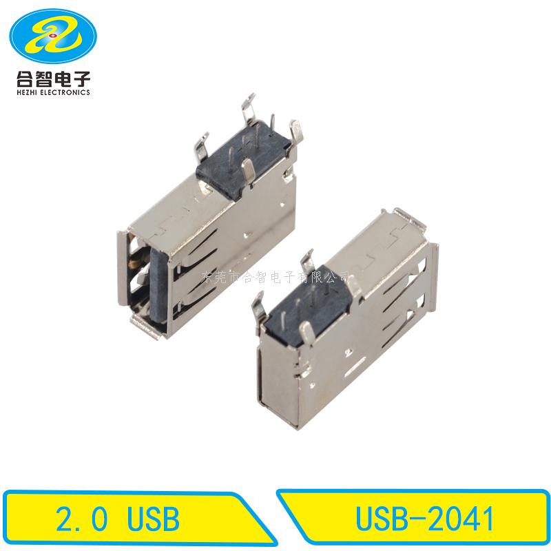 USB 2.0-USB-2041