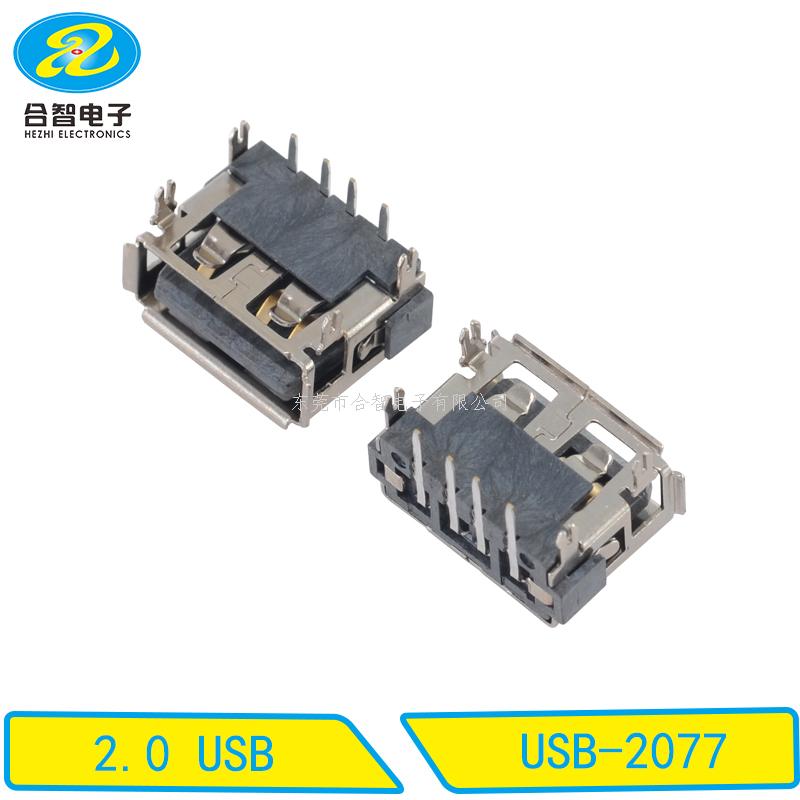 USB 2.0-USB-2077